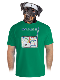 pánske športové tričko