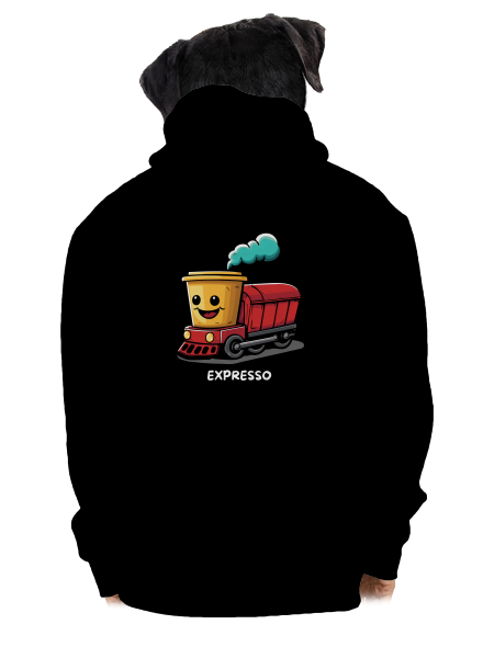 Expresso pánska mikina na zips Black