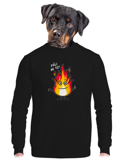 Páli mi to unisex mikina bez kapucne Black