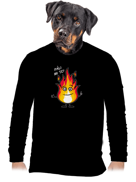 Páli mi to pánske dlhý rukáv Black