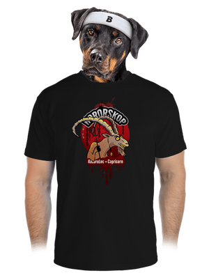 pánske športové tričko