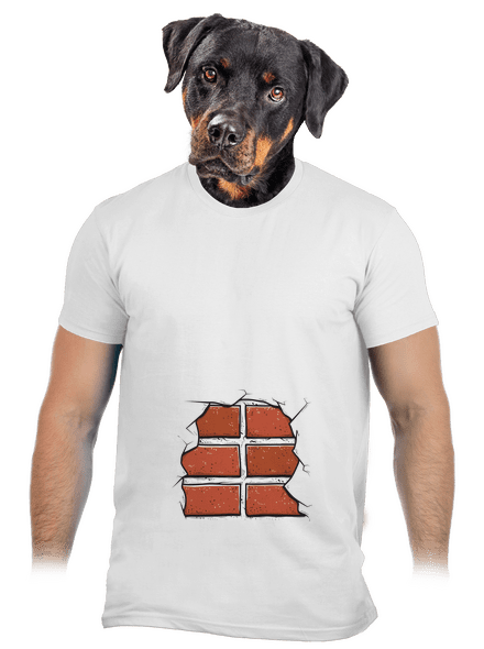 Tehly pánske tričko White