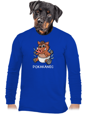 pánske dlhý rukáv