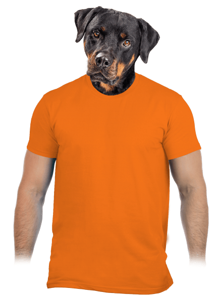 Bez potlače pánske tričko Orange