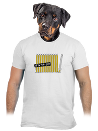 pánske tričko