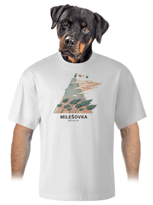 unisex tričko oversized