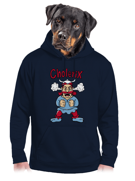 Cholerix pánska mikina klokanka Navy