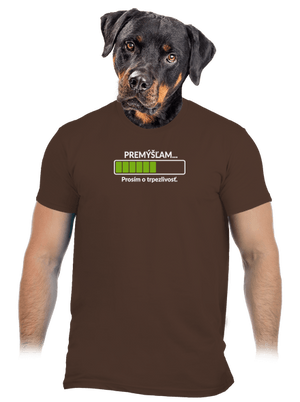 Premýšľam pánske tričko Brown