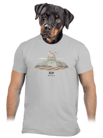 Říp s osobnosťou pánske tričko Pacific Grey