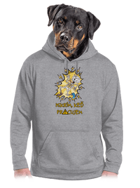 pánska mikina klokanka