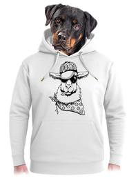 unisex mikina premium