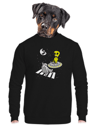 unisex mikina bez kapucne