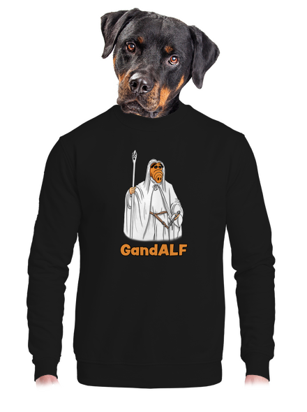 GandALF unisex mikina bez kapucne Black