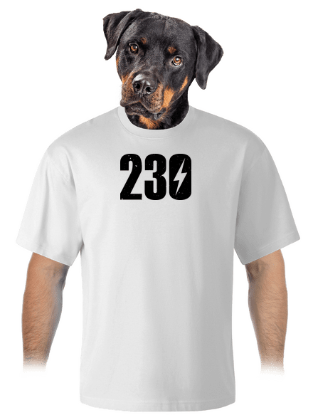 230 V unisex tričko oversized White