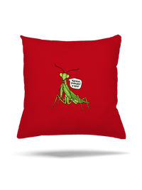 vankúš