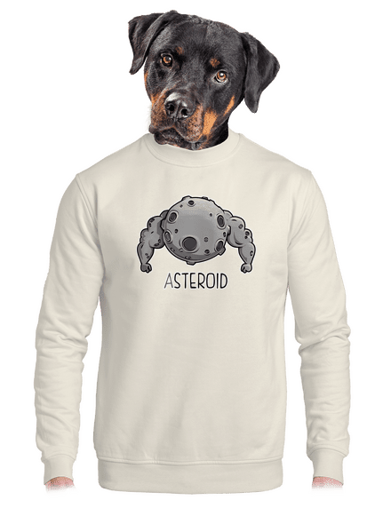 Asteroid unisex mikina bez kapucne Off White