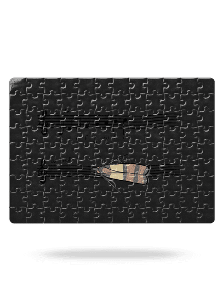 A - moll puzzle White