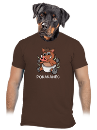 pánske tričko