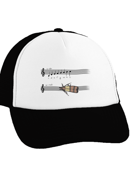 A - moll šiltovka truckerka Black cap