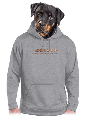 Vývoj nezastavíš pánska mikina klokanka Light Melange