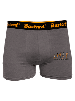 Evolúcia študenta boxerky Gray Melange