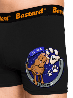 Psí horoskop: Vodnár boxerky Black