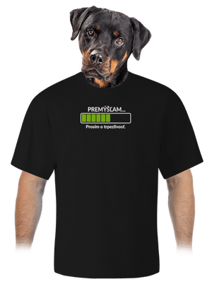 Premýšľam unisex tričko oversized Black