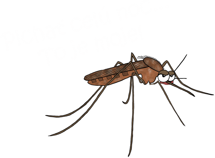 Komár s výdržou