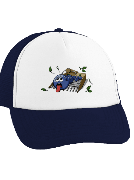 Čučoriedky šiltovka truckerka French Navy cap