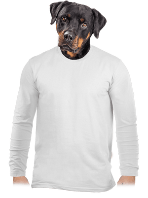 Bez potlače pánske dlhý rukáv White