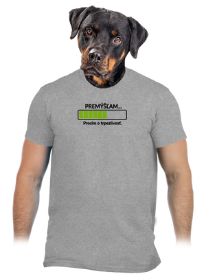 Premýšľam pánske tričko Sport Grey