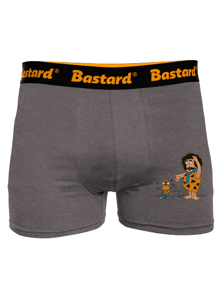 Pokrok nezastavíš boxerky Gray Melange
