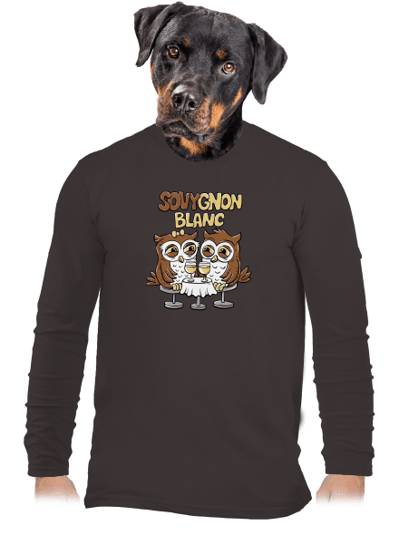 Sovygnon pánske dlhý rukáv Bear Brown