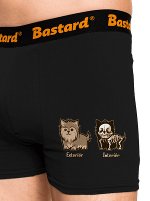 Teriér boxerky Black