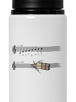 A - moll flaša na vodu White