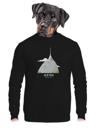 unisex mikina bez kapucne