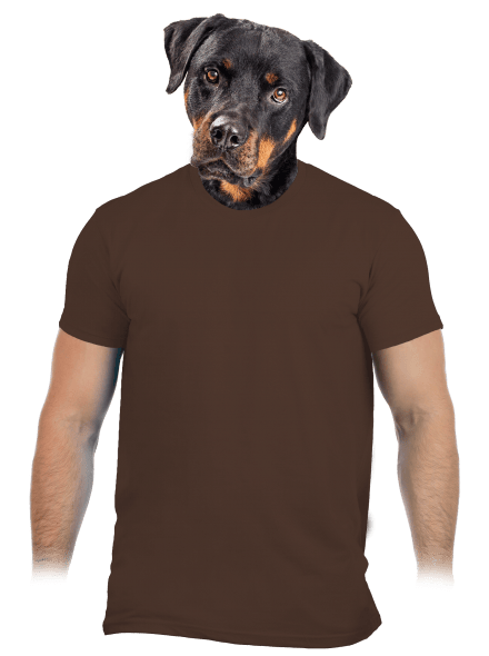 Bez potlače pánske tričko Brown
