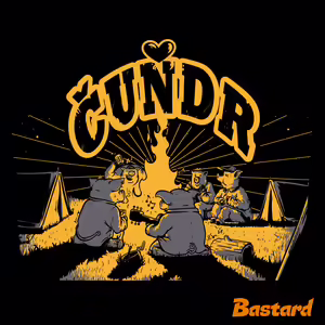Čuňdr