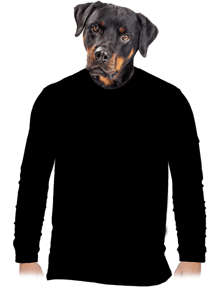Bez potlače pánske dlhý rukáv Black
