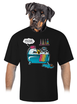 Ako sa stať jednorožcom unisex tričko oversized Black