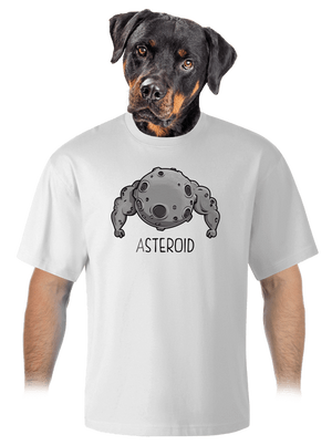 Asteroid unisex tričko oversized White