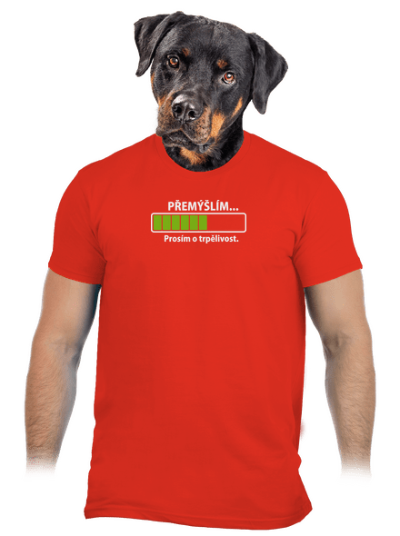 Premýšľam pánske tričko Fiery Red