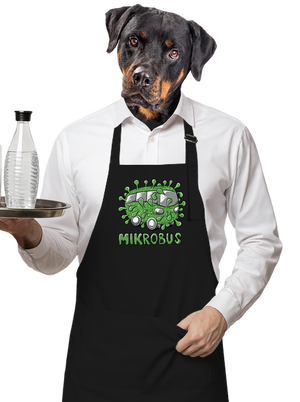 Mikrobus zástera Black