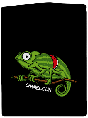 Chameloun pánska mikina na zips Black