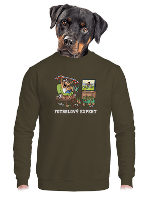 Futbalový expert unisex mikina bez kapucne Urban Khaki