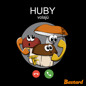 Huby volajú