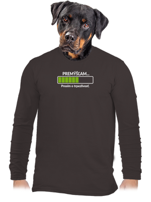 Premýšľam pánske dlhý rukáv Bear Brown