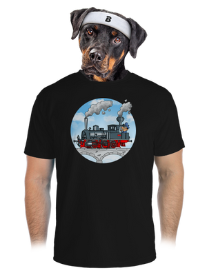 pánske športové tričko