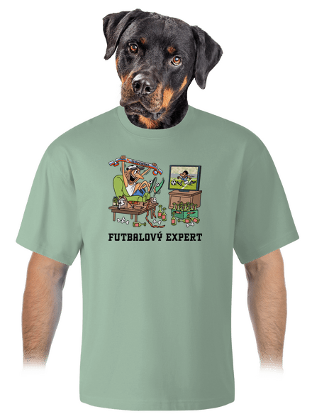 Futbalový expert unisex tričko oversized Sage
