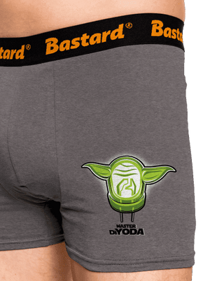 Mistr DiYoda boxerky Gray Melange